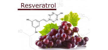 Молекула молодости – ресвератрол